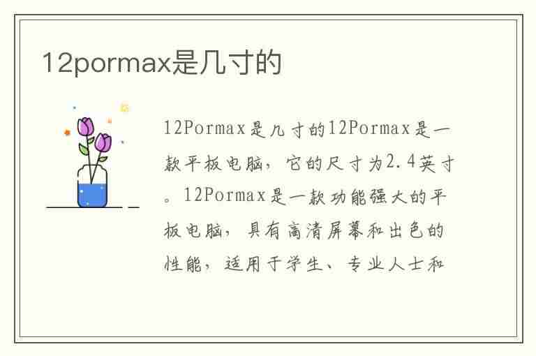 12pormax是几寸的(苹果12promax多少寸的)